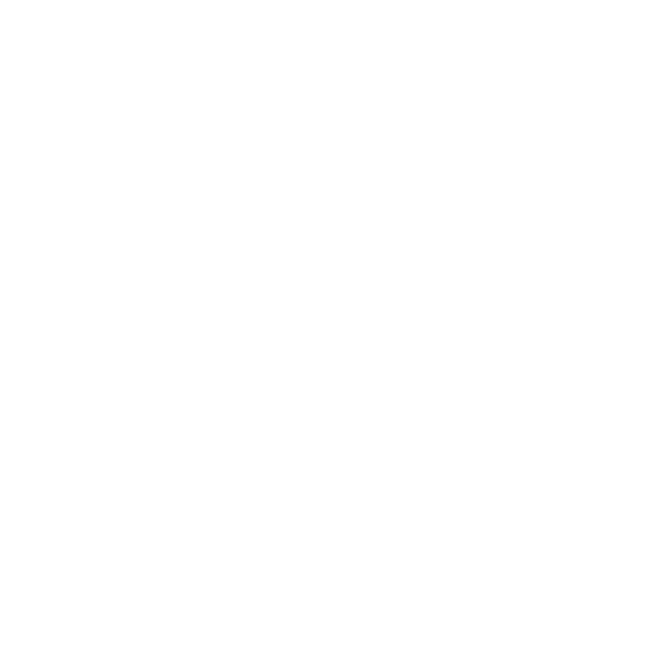 icon piani allenamenti
